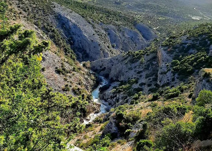 Lavandula Kruševo