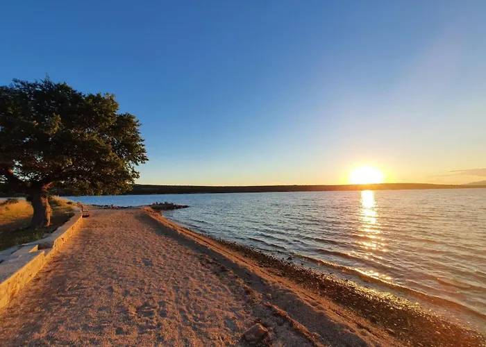 Apartman Lavandula *